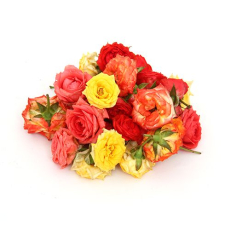 Cut Roses