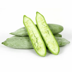 Snake Gourd,